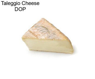 Taleggio Cheese DOP