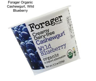 Forager Organic Cashewgurt, Wild Blueberry