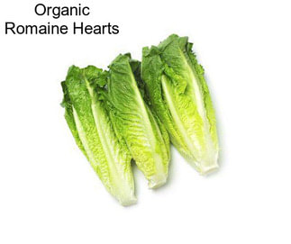 Organic Romaine Hearts