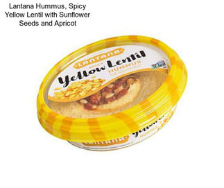 Lantana Hummus, Spicy Yellow Lentil with Sunflower Seeds and Apricot