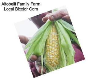 Altobelli Family Farm Local Bicolor Corn