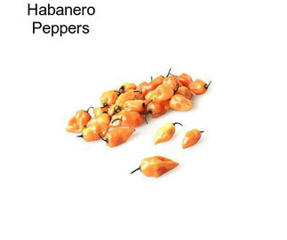 Habanero Peppers