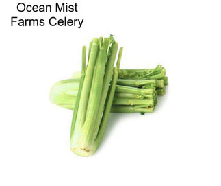 Ocean Mist Farms Celery
