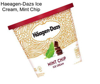 Haeagen-Dazs Ice Cream, Mint Chip