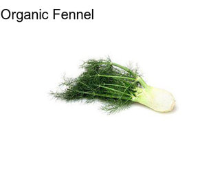 Organic Fennel