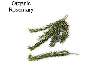 Organic Rosemary