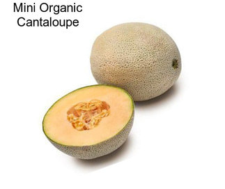 Mini Organic Cantaloupe