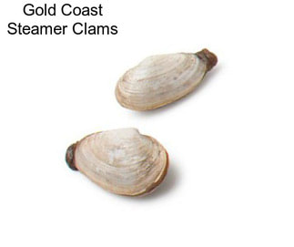 Gold Coast Steamer Clams