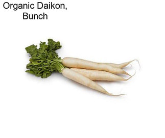Organic Daikon, Bunch