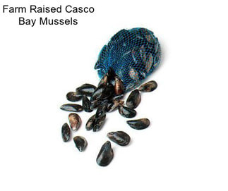 Farm Raised Casco Bay Mussels