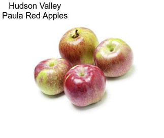 Hudson Valley Paula Red Apples