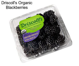 Driscoll\'s Organic Blackberries