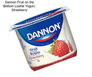 Dannon Fruit on the Bottom Lowfat Yogurt, Strawberry