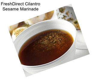 FreshDirect Cilantro Sesame Marinade