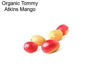 Organic Tommy Atkins Mango