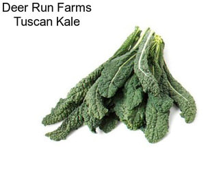 Deer Run Farms Tuscan Kale