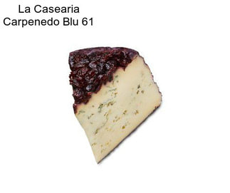 La Casearia Carpenedo Blu 61