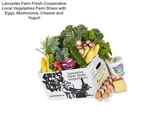 Lancaster Farm Fresh Cooperative Local Vegetables Farm Share with Eggs, Mushrooms, Cheese and Yogurt