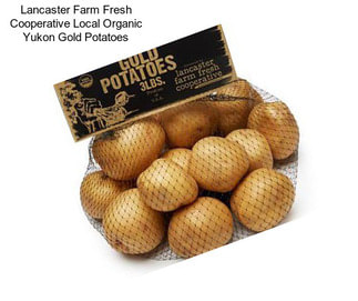Lancaster Farm Fresh Cooperative Local Organic Yukon Gold Potatoes