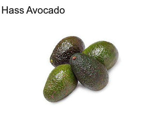 Hass Avocado