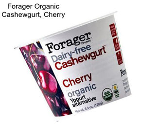 Forager Organic Cashewgurt, Cherry