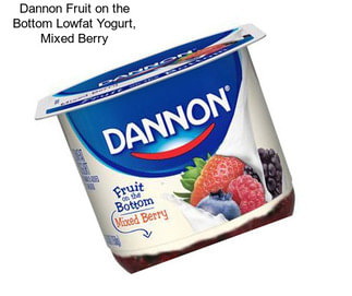 Dannon Fruit on the Bottom Lowfat Yogurt, Mixed Berry