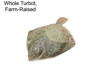 Whole Turbot, Farm-Raised