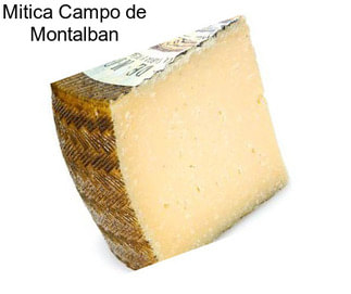 Mitica Campo de Montalban