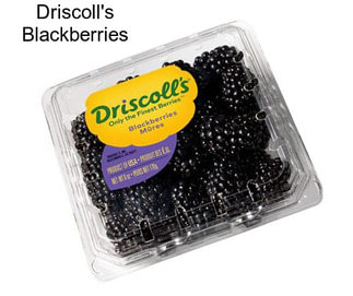Driscoll\'s Blackberries