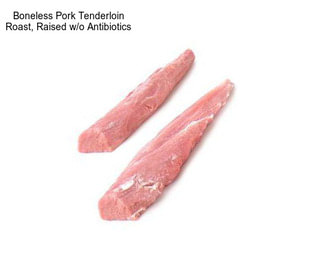 Boneless Pork Tenderloin Roast, Raised w/o Antibiotics