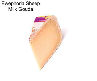 Ewephoria Sheep Milk Gouda