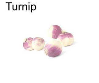 Turnip