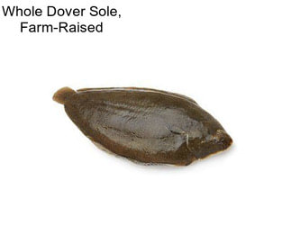 Whole Dover Sole, Farm-Raised