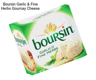 Boursin Garlic & Fine Herbs Gournay Cheese