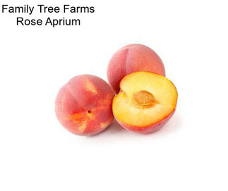 Family Tree Farms Rose Aprium