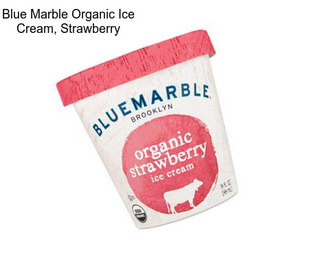 Blue Marble Organic Ice Cream, Strawberry