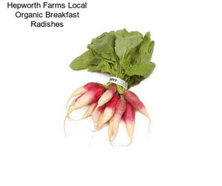Hepworth Farms Local Organic Breakfast Radishes