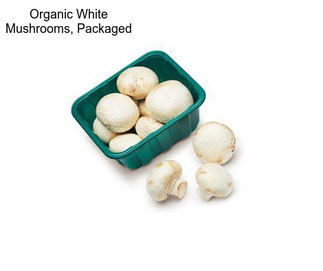 Organic White Mushrooms, Packaged