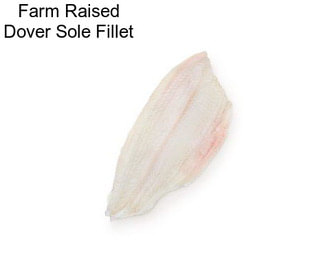 Farm Raised Dover Sole Fillet