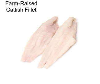 Farm-Raised Catfish Fillet