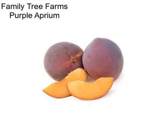 Family Tree Farms Purple Aprium