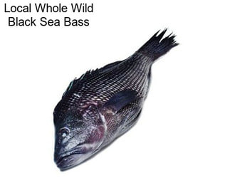 Local Whole Wild Black Sea Bass