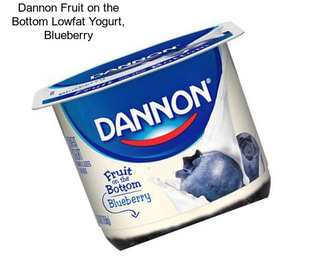 Dannon Fruit on the Bottom Lowfat Yogurt, Blueberry