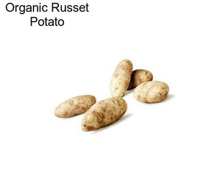 Organic Russet Potato