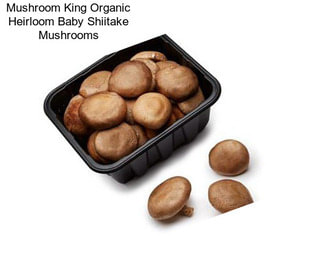 Mushroom King Organic Heirloom Baby Shiitake Mushrooms