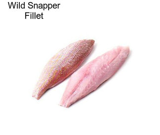 Wild Snapper Fillet