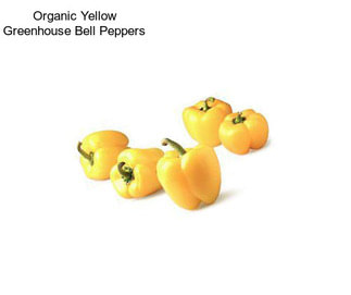 Organic Yellow Greenhouse Bell Peppers