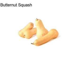 Butternut Squash