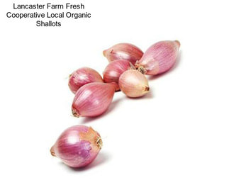 Lancaster Farm Fresh Cooperative Local Organic Shallots