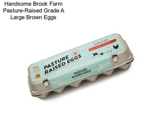 Handsome Brook Farm Pasture-Raised Grade A Large Brown Eggs